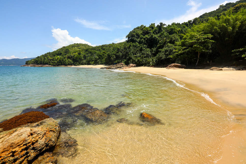 Imagem da Praia: Praia do Cedro do Sul